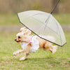 Dog Umbrella