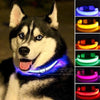 FREE LED Safety Dog Collar