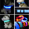 Giftimized LED Flashing Dog Collar