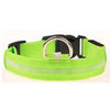 Giftimized LED Flashing Dog Collar