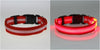 FREE LED Safety Dog Collar