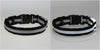 FREE LED Safety Dog Collar