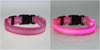 FREE LED Safety Dog Collar