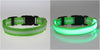 FREE LED Safety Dog Collar