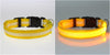 FREE LED Safety Dog Collar