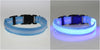 FREE LED Safety Dog Collar