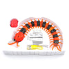 Giftimized Remote Control Centipede Toy