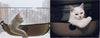 EZ Mount Window Bed